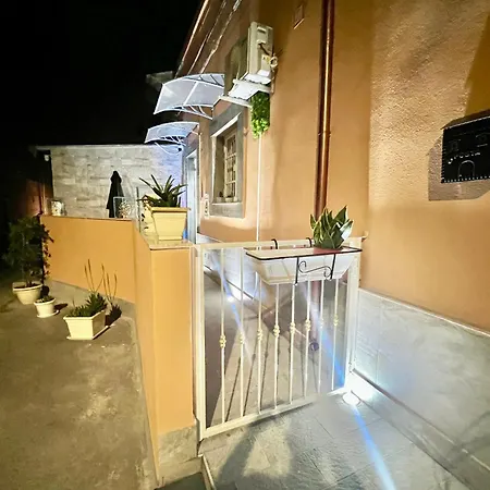 La Rosa Tatuata * Catane